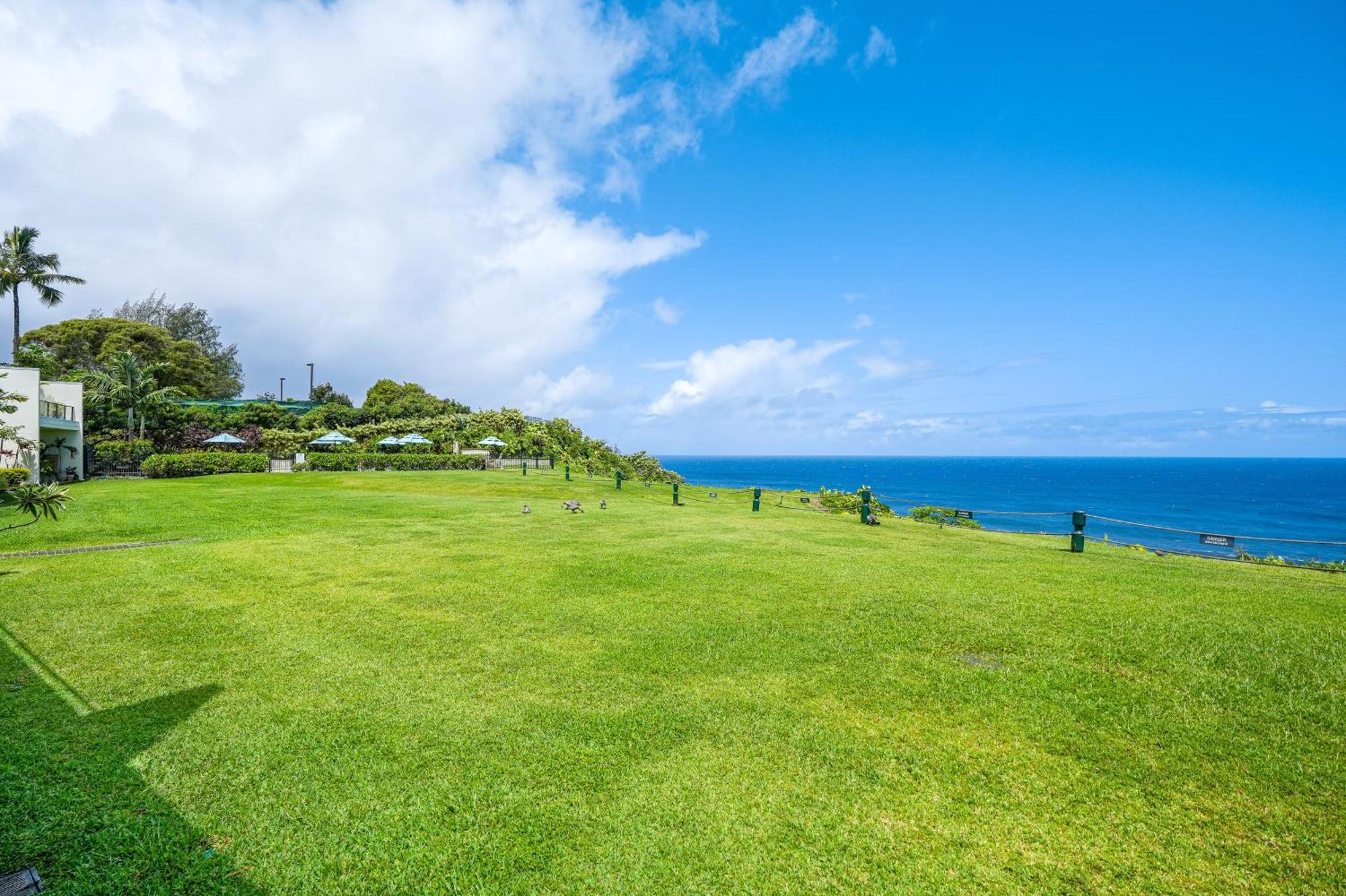 Puu Poa Leilighet Princeville Rom bilde